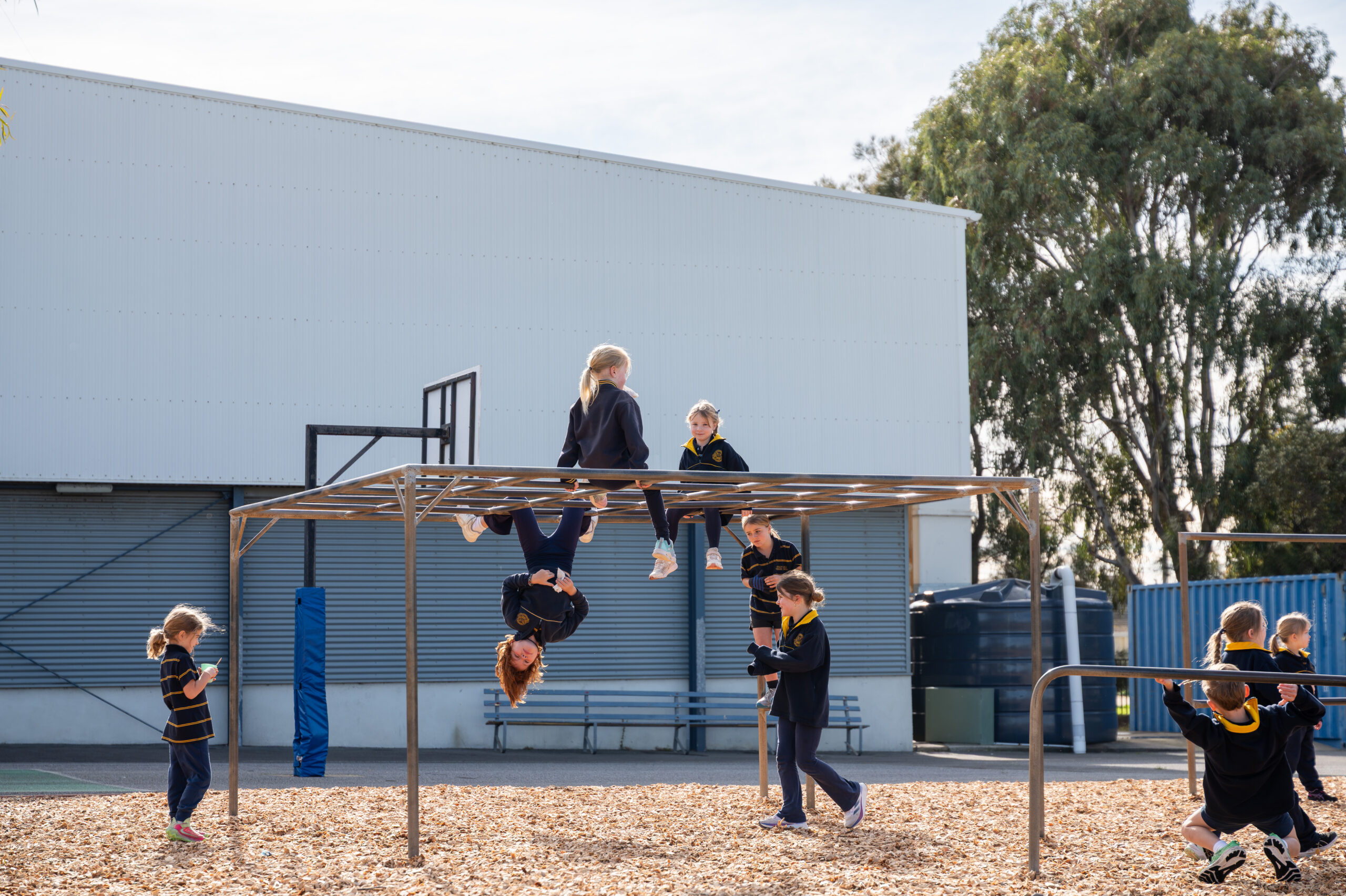 Henley Beach Primary School 2026-113